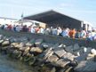Waterside stage at the 2008 Newport Jazz Festival