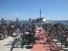 Transportation for Folk Festival attendees 2013