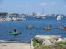 Heading for the Folk Festival by kayak from beach near Ida Lewis Yacht Club in Newport harbor, Folk Festival 2016