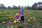 Choosing a pumpkin in the pumpkin patch at Sweet Berry Farm