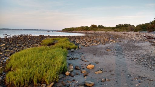 Third Beach, Middletown, RI